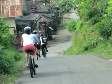 bali-decouverte-ubud-5